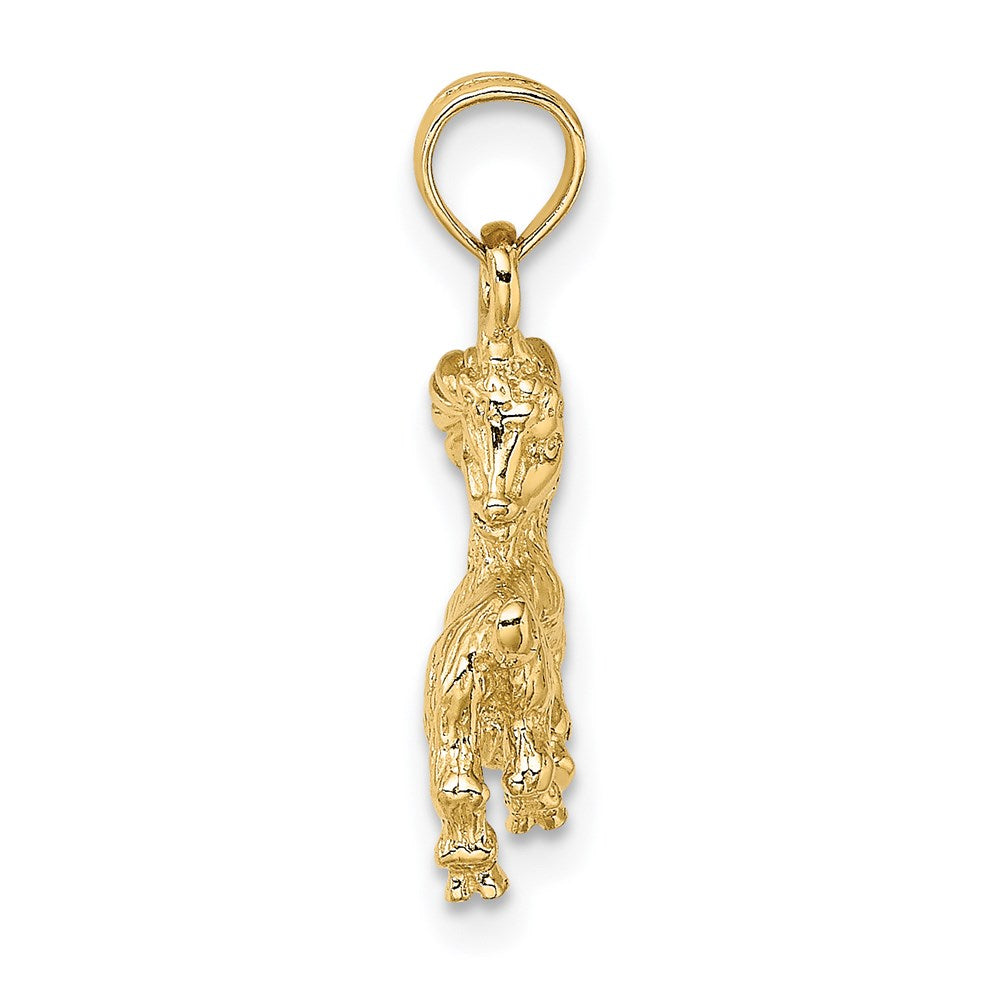 14k 3-D Capricorn Zodiac Charm 12.55mm - Chains