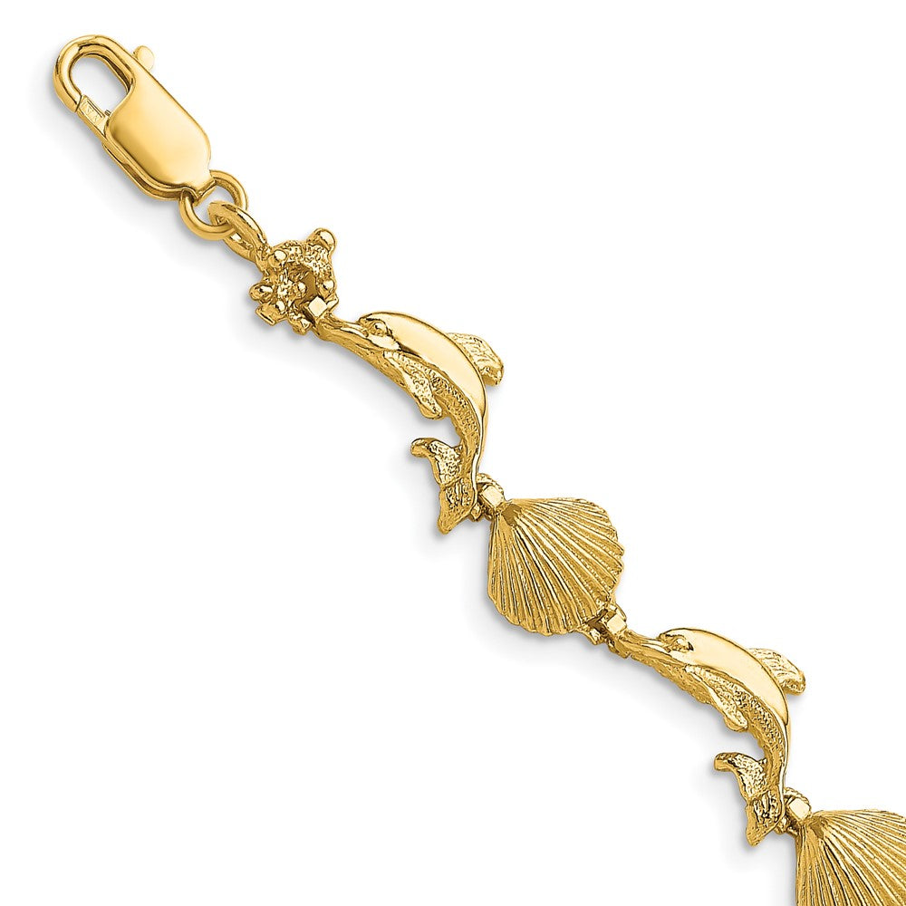 14K Polished Dolphin and Shell Bracelet 8.17mm - Bracelets
